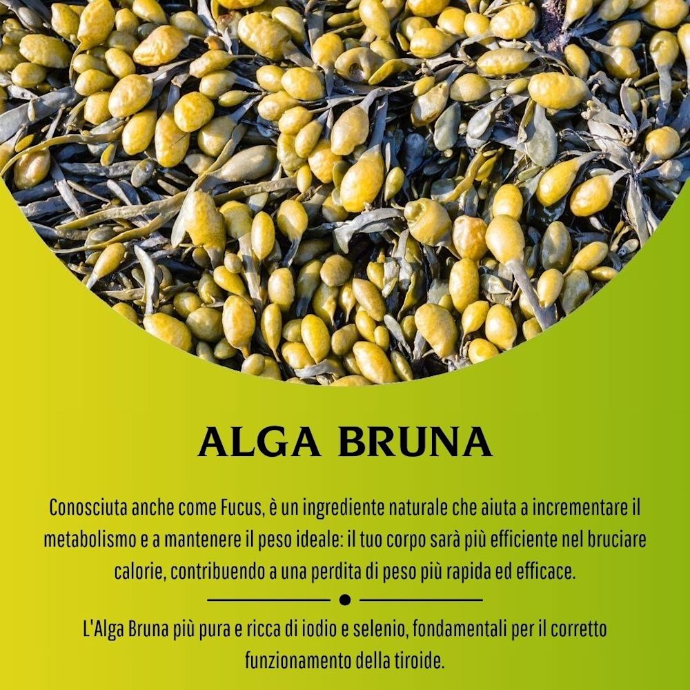 902193010 - ALGA BRUNA 100 CAPSULE 430MG - 4713513_9.jpg