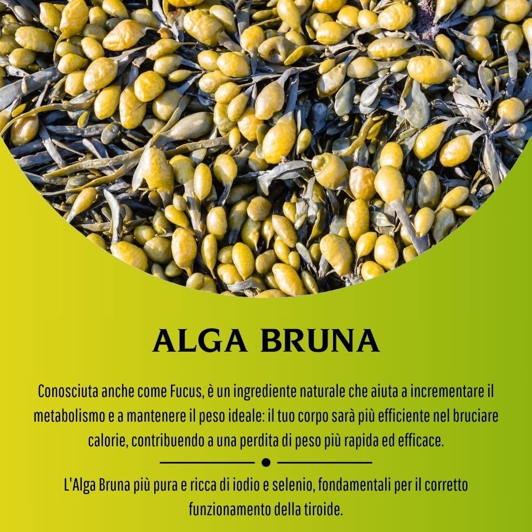 902193010 - ALGA BRUNA 100 CAPSULE 430MG - 4713513_9.jpg