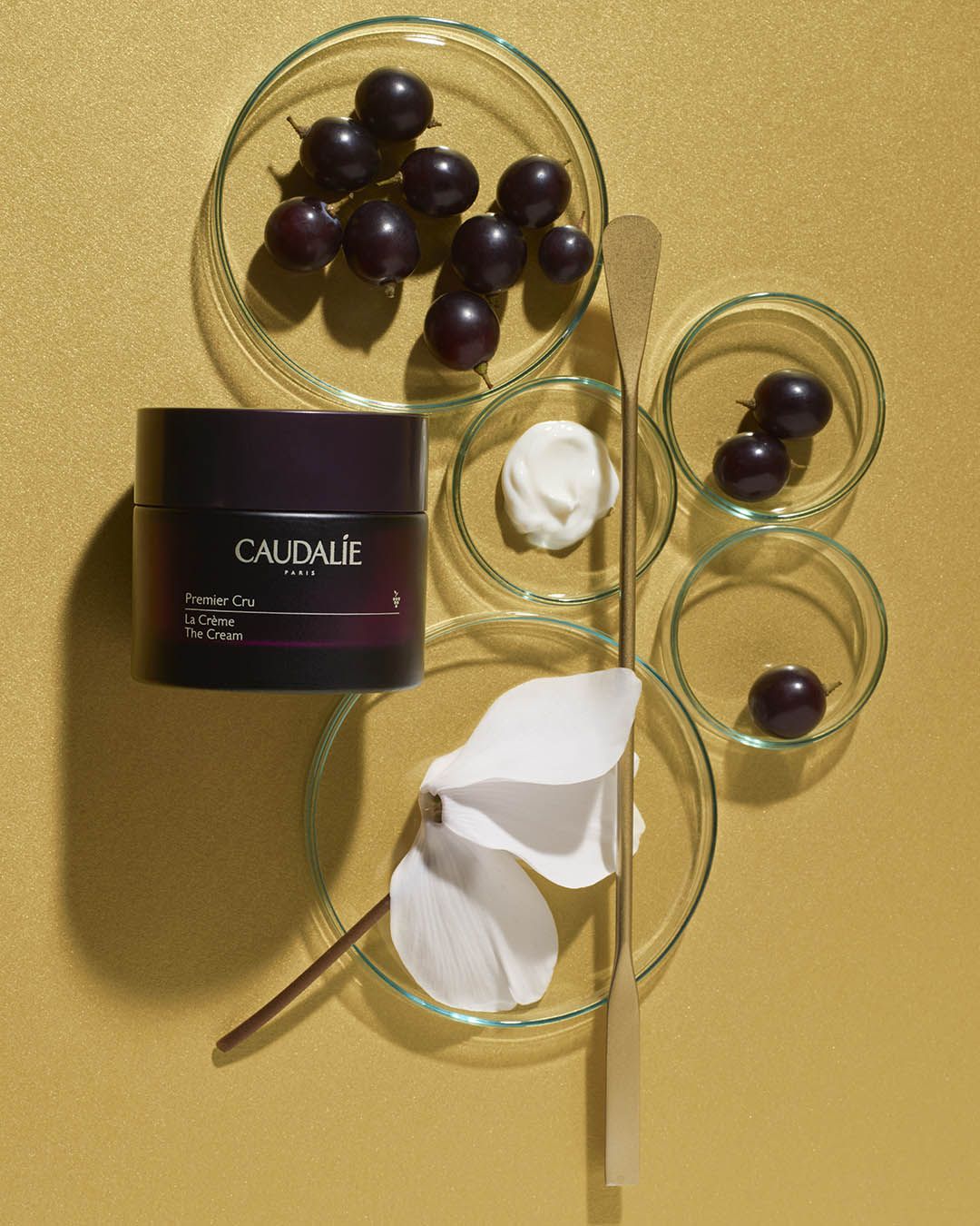 image - 983035953 - Caudalie Premier Cru La Crema 50ml - 4709260_4.jpg