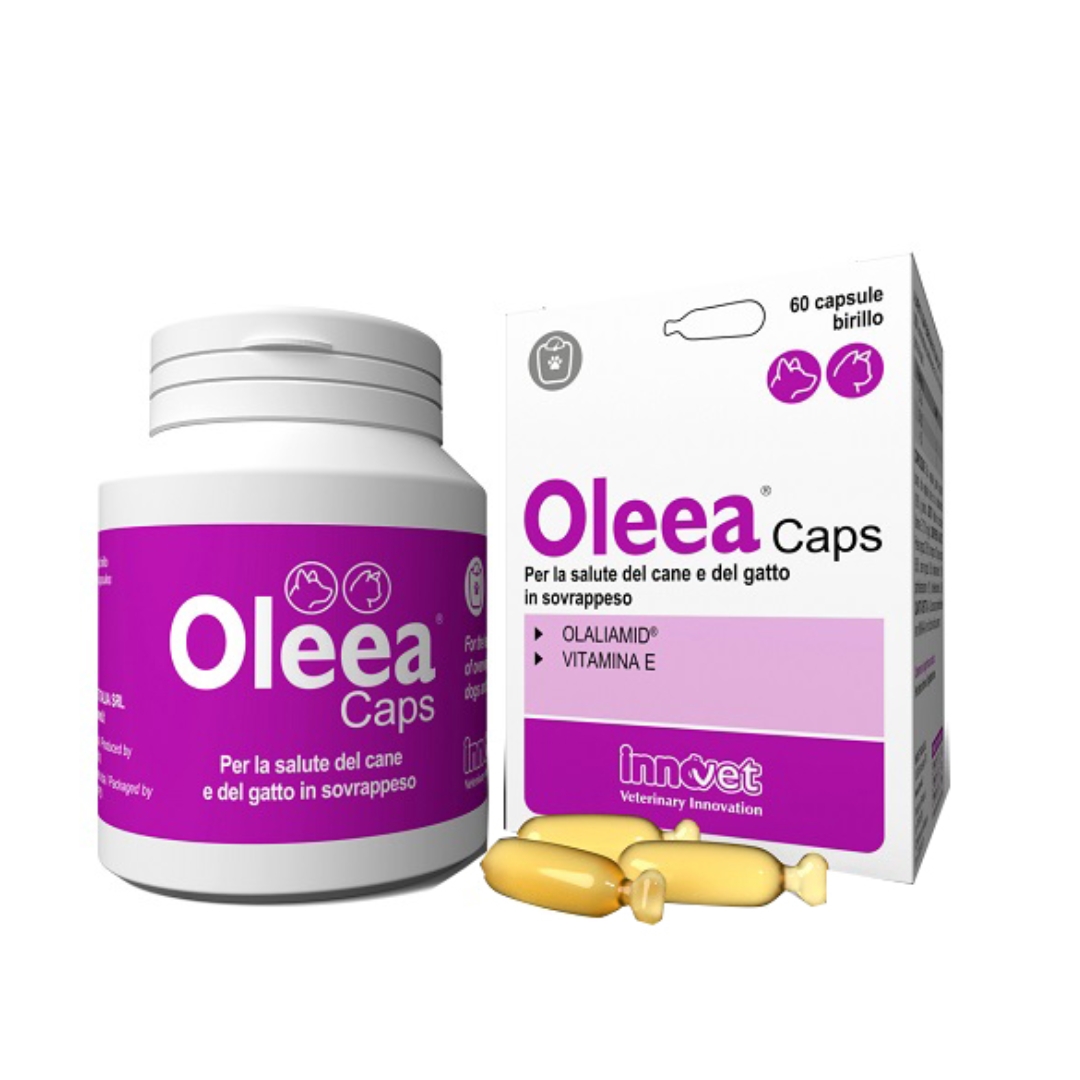 984703381 - OLEEA CAPS 60 CAPSULE - 0006781_2.jpg