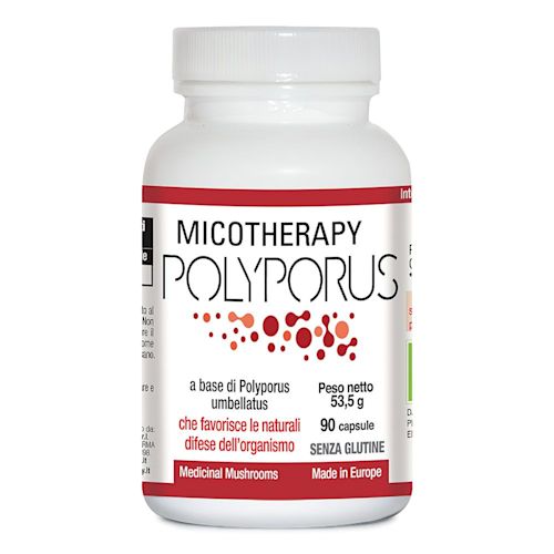 970430361 - MICOTHERAPY POLYPORUS 90 CAPSULE - 4727352_2.jpg