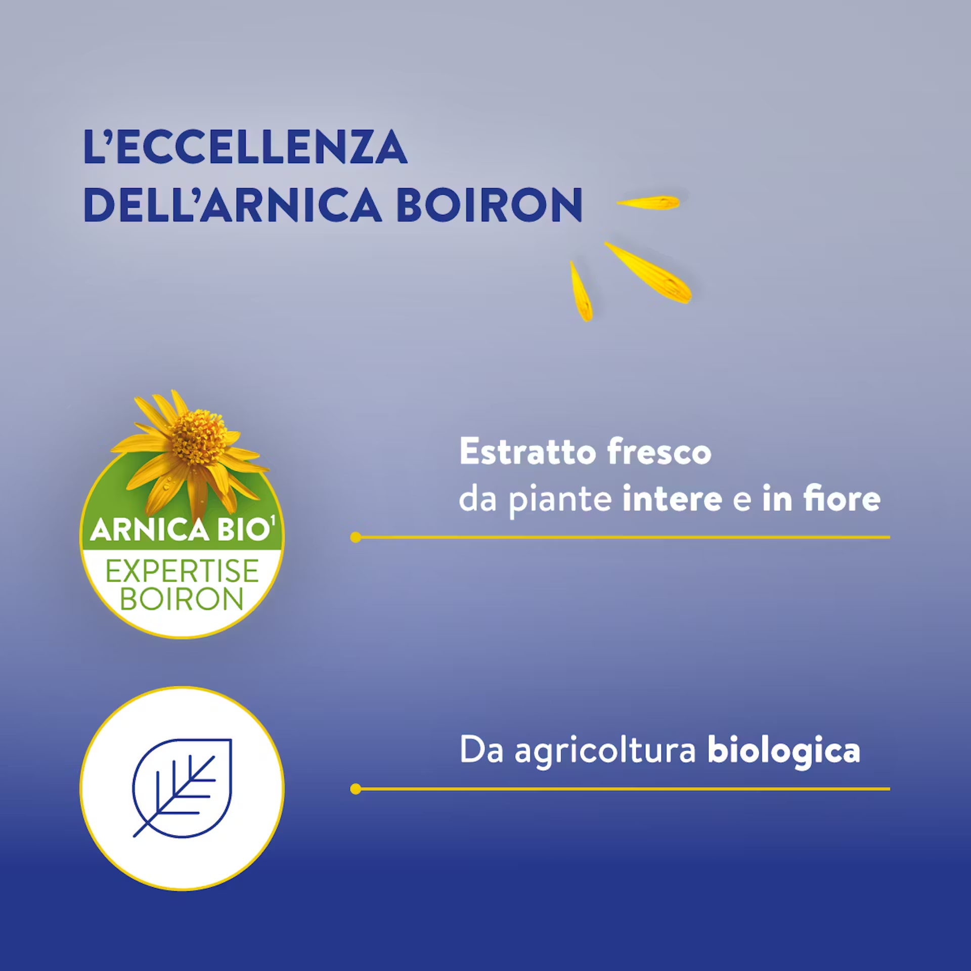 image - 986333742 - ARNICREME NF 70 G - 4761341_5.png