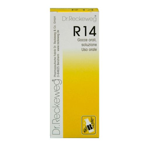 909462917 - Reckeweg R14 gocce orali Insonnia 50ml - 7875074_2.jpg