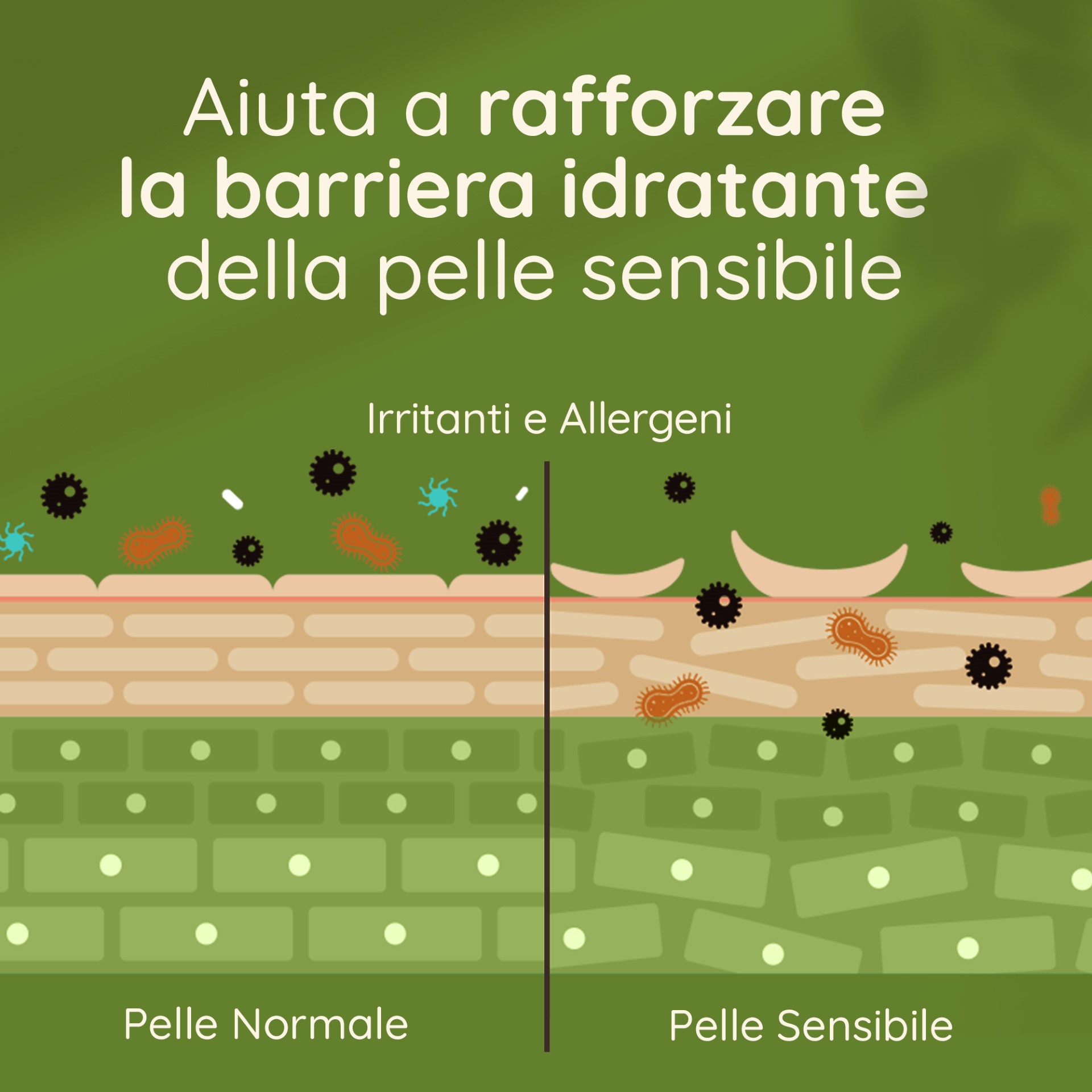 image - 900454529 - AVEENO QUOTIDIANO PN CREMA IDRATANTE CORPO 200 ML - 7873400_11.jpg