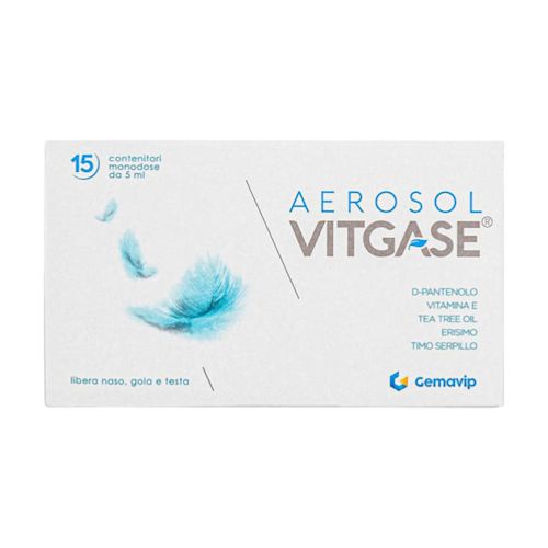 image - 975046184 - VITGASE AEROSOL 15 FLACONCINI 5 ML - 4865424_2.jpg