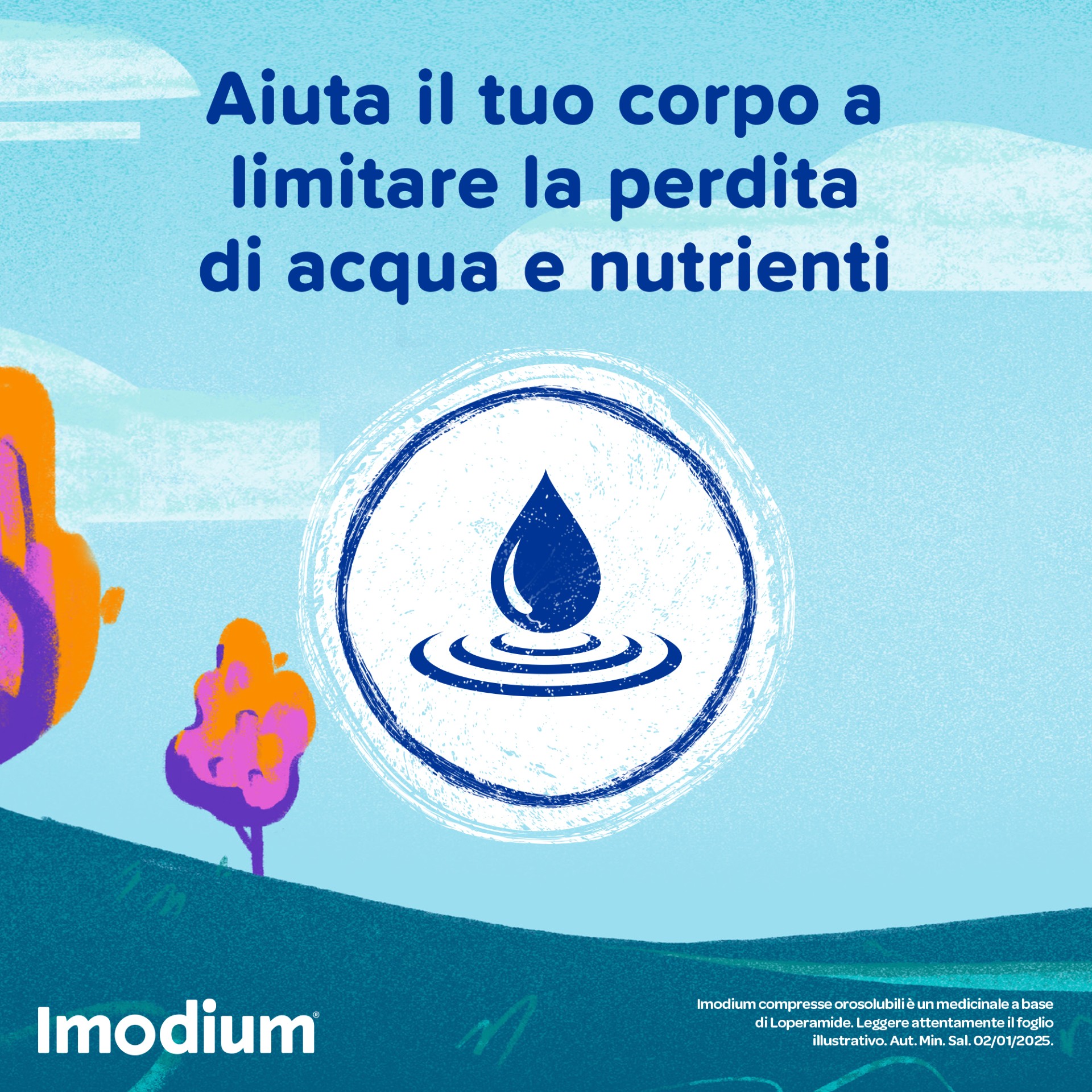 image - 023673092 - IMODIUM*12 cpr orosolubili 2 mg - 9997585_7.jpg