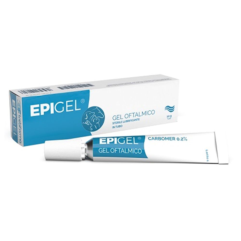 984327864 - EPIGEL TUBO GEL 10 G - 0006590_1.jpg