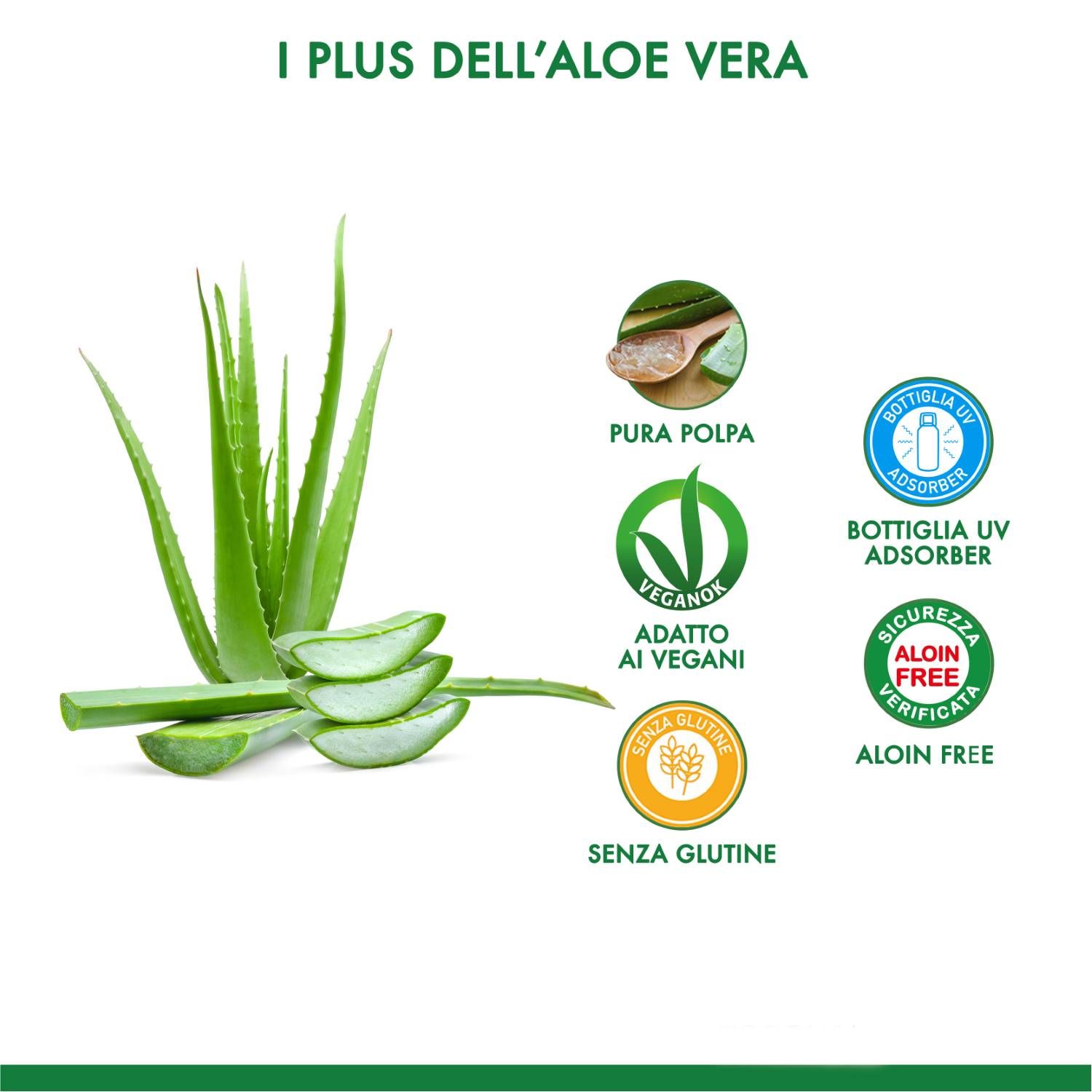983001431 - Equilibra Aloe Vera Digest Integratore digestione 1L - 4739277_4.jpg