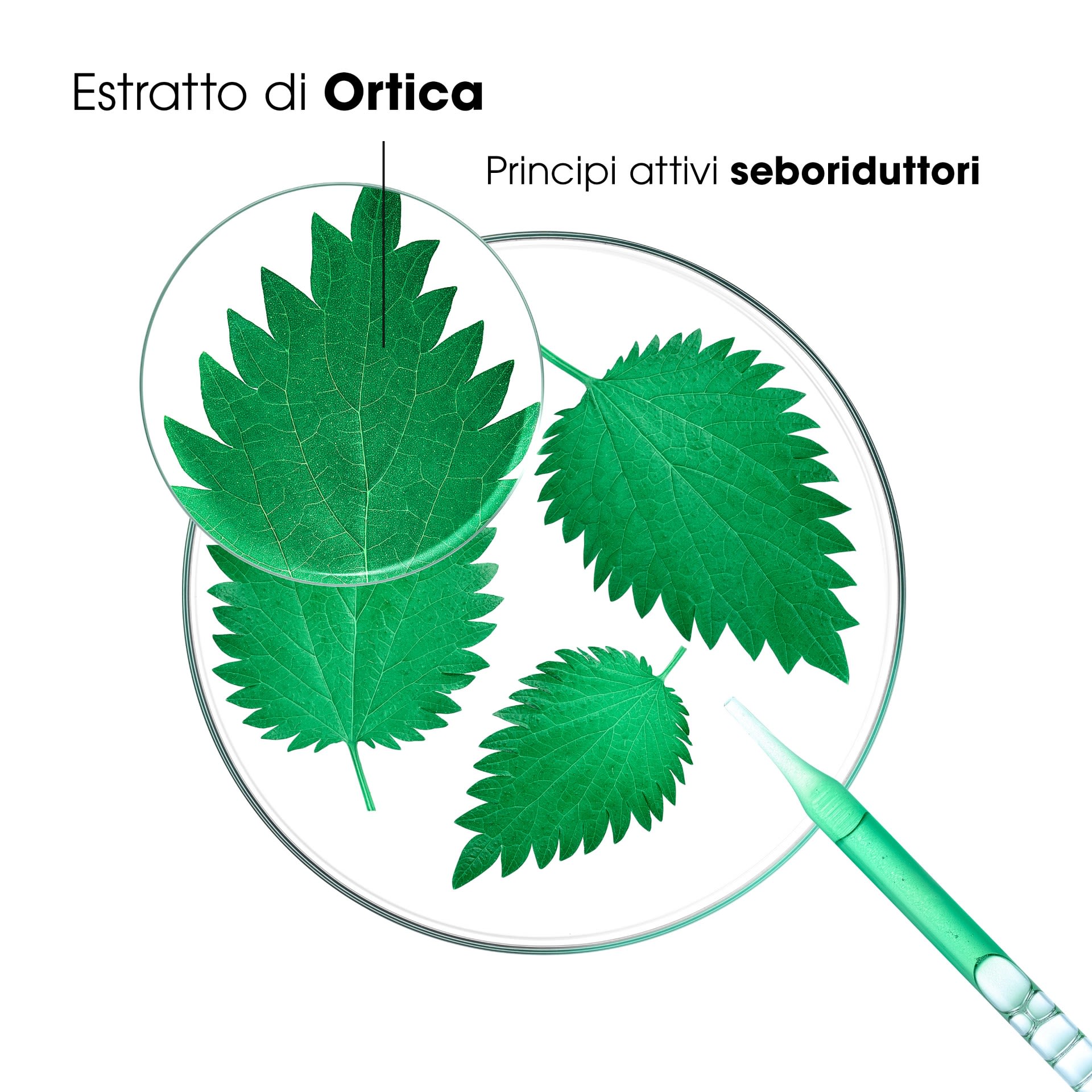 image - 981391156 - KLORANE SHAMPOO ALL'ORTICA - 4706491_7.jpg