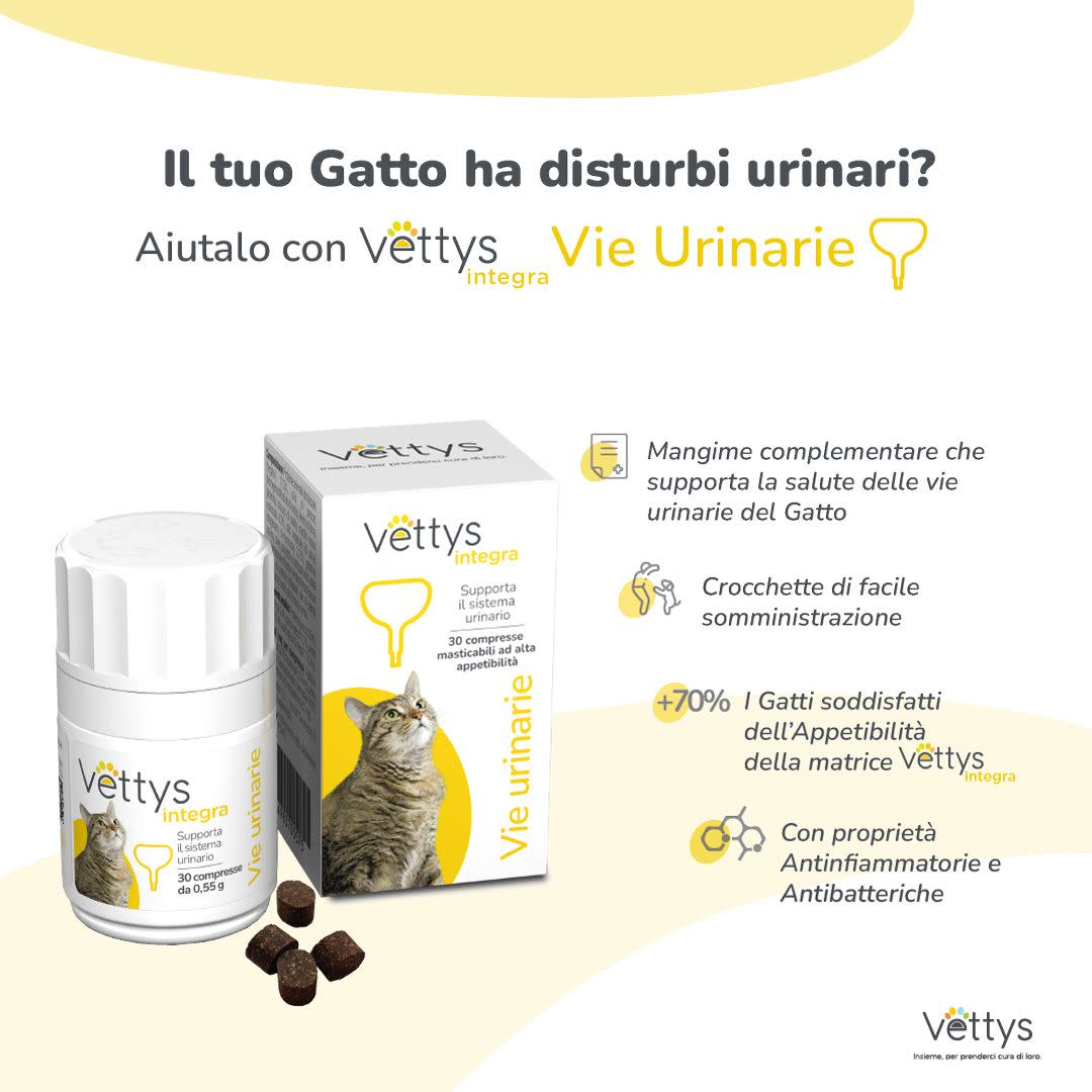 983705575 - Vettys Integra Vie Urinarie Gatto 30 compresse - 0005304_4.jpg