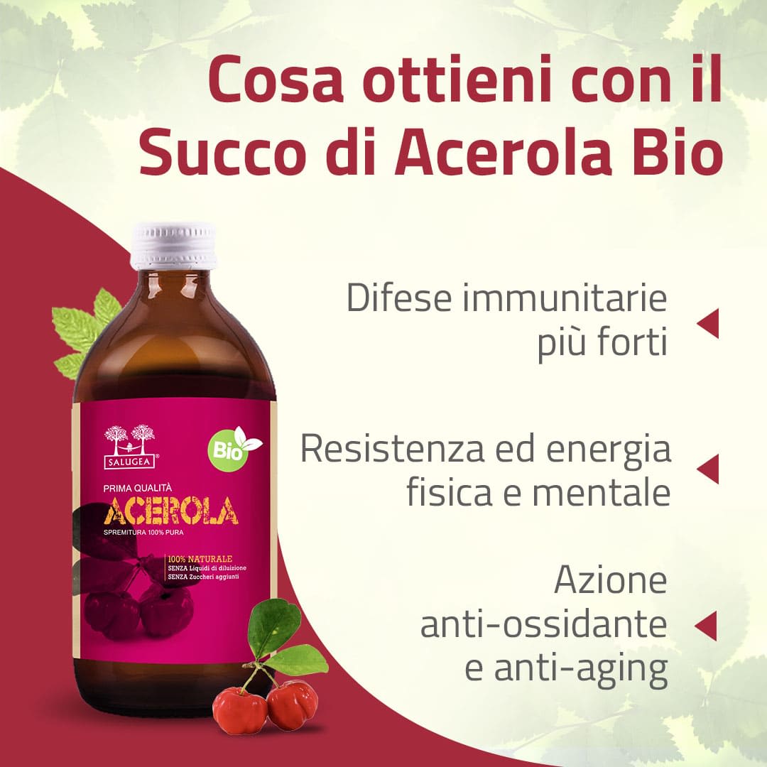 image - 982000604 - SALUGEA SUCCO ACEROLA BIO 500 ML - 4738120_4.jpg