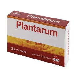 982544645 - Plantarum 10 miliardi Integratore fermenti lattici 24 capsule - 4738695_2.jpg