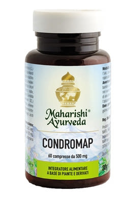 906555444 - Condromap Integratore 60 compresse - 4715264_3.jpg