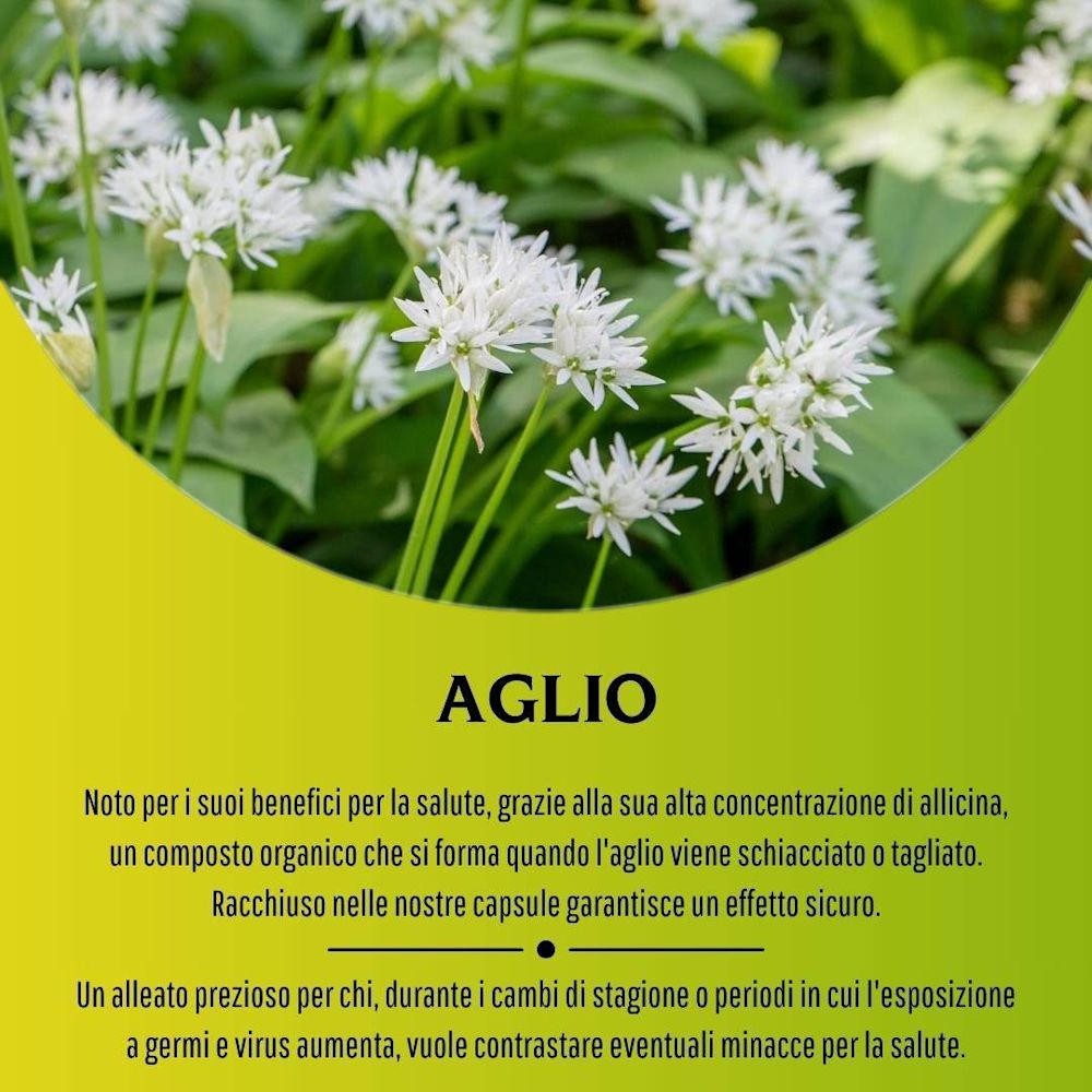 902192881 - AGLIO 100 CAPSULE 430 MG - 4713512_7.jpg