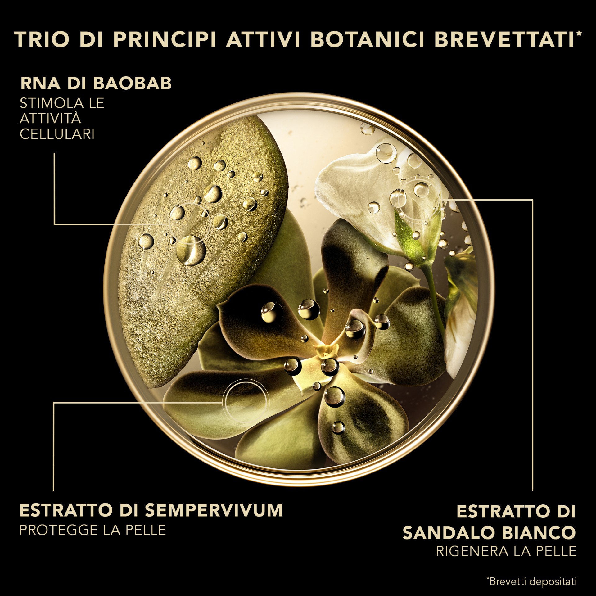 image - 951300437 - PREMIUM IL SIERO ASSOLUTO 25 30 ML - 4852546_6.jpg