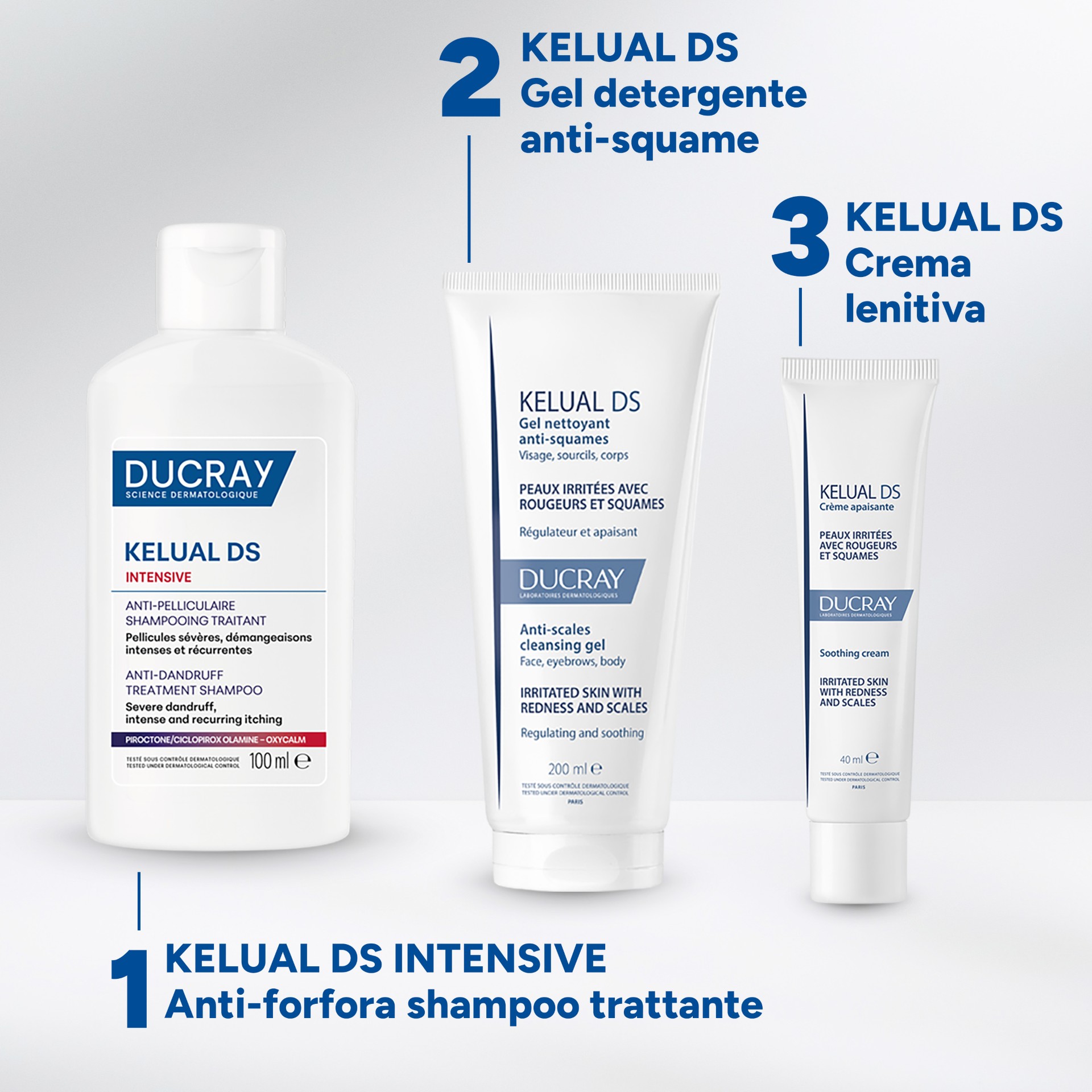 image - 951098146 - DUCRAY KELUAL DS INTENSIVE SHAMPOO ANTIFORFORA 100 ML - 4854869_17.jpg