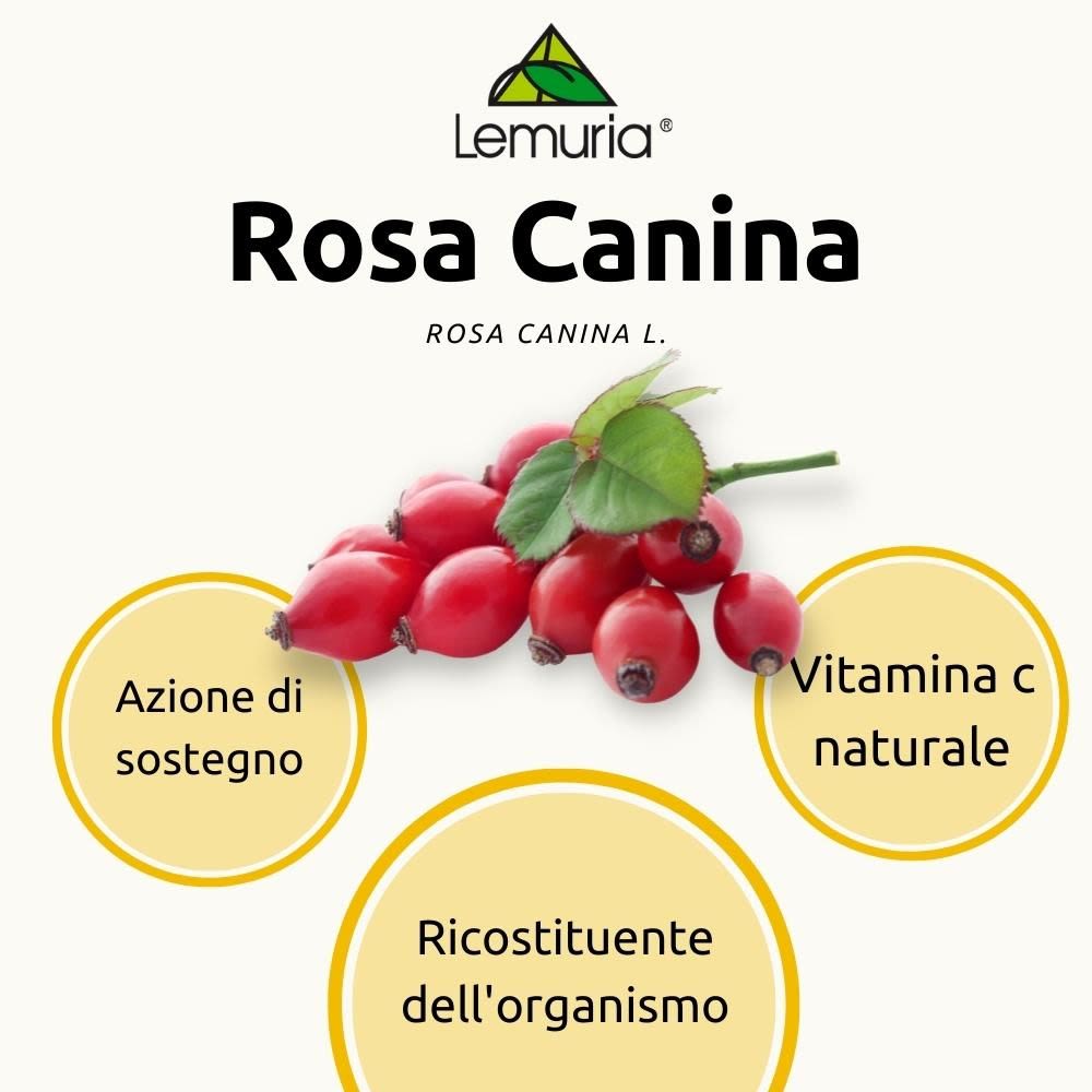 981986122 - Rosa Canina Estratto Titolato Integratore ricostituente 100ml - 4738061_2.jpg