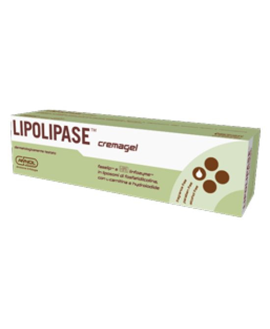 934417445 - Lipolipase Crema Gel 150ml - 4723134_2.jpg