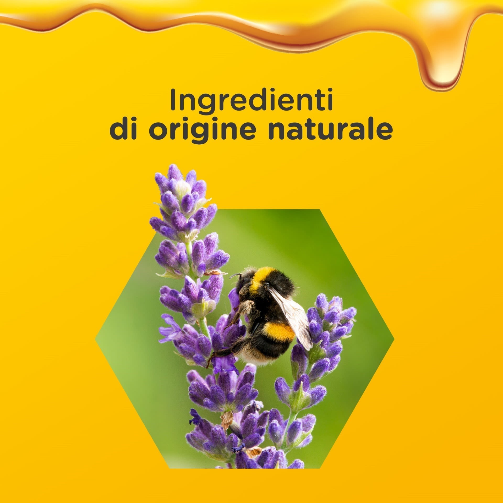 image - 988058448 - ZARBEE'S DIFESE IMMUNITARIE ADULTI NOTTE 120 ML - 4792171_3.jpg