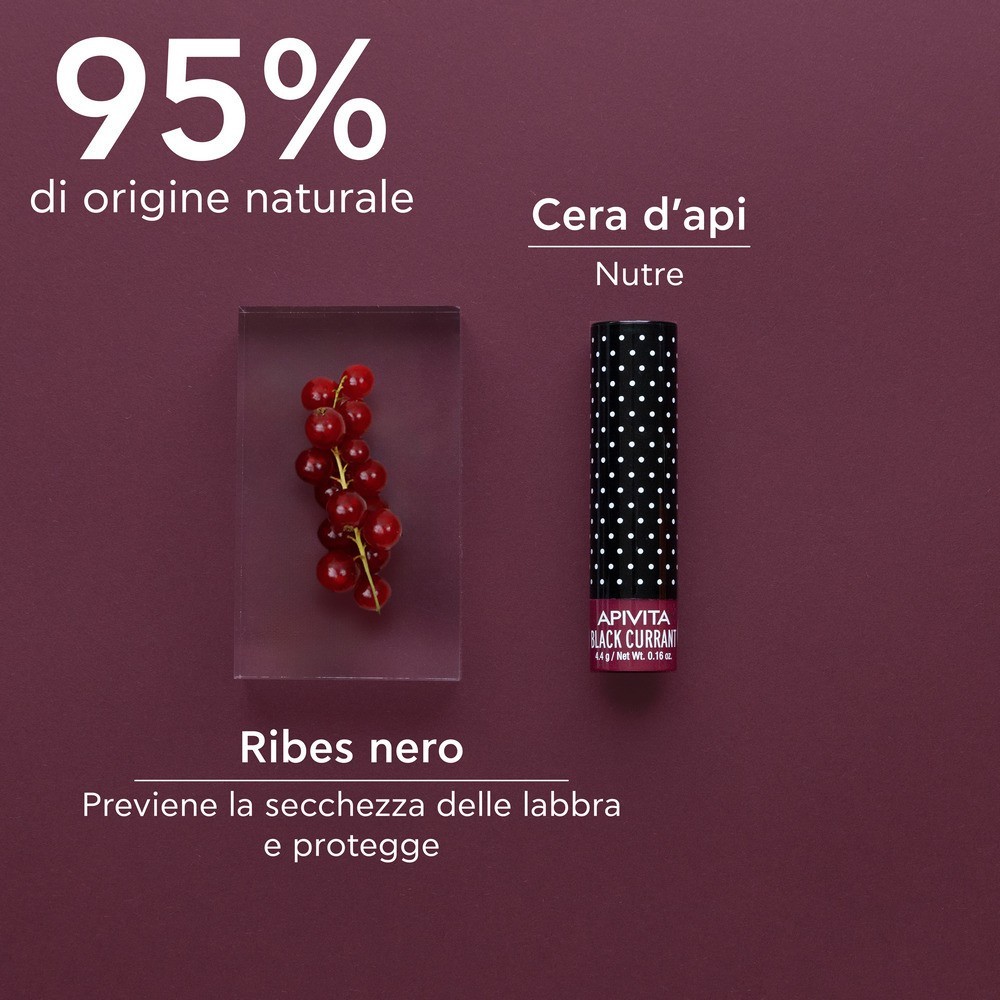image - 980120467 - APIVITA LIPCARE BLACK CURRANT 4,4 G - 4735887_3.jpg