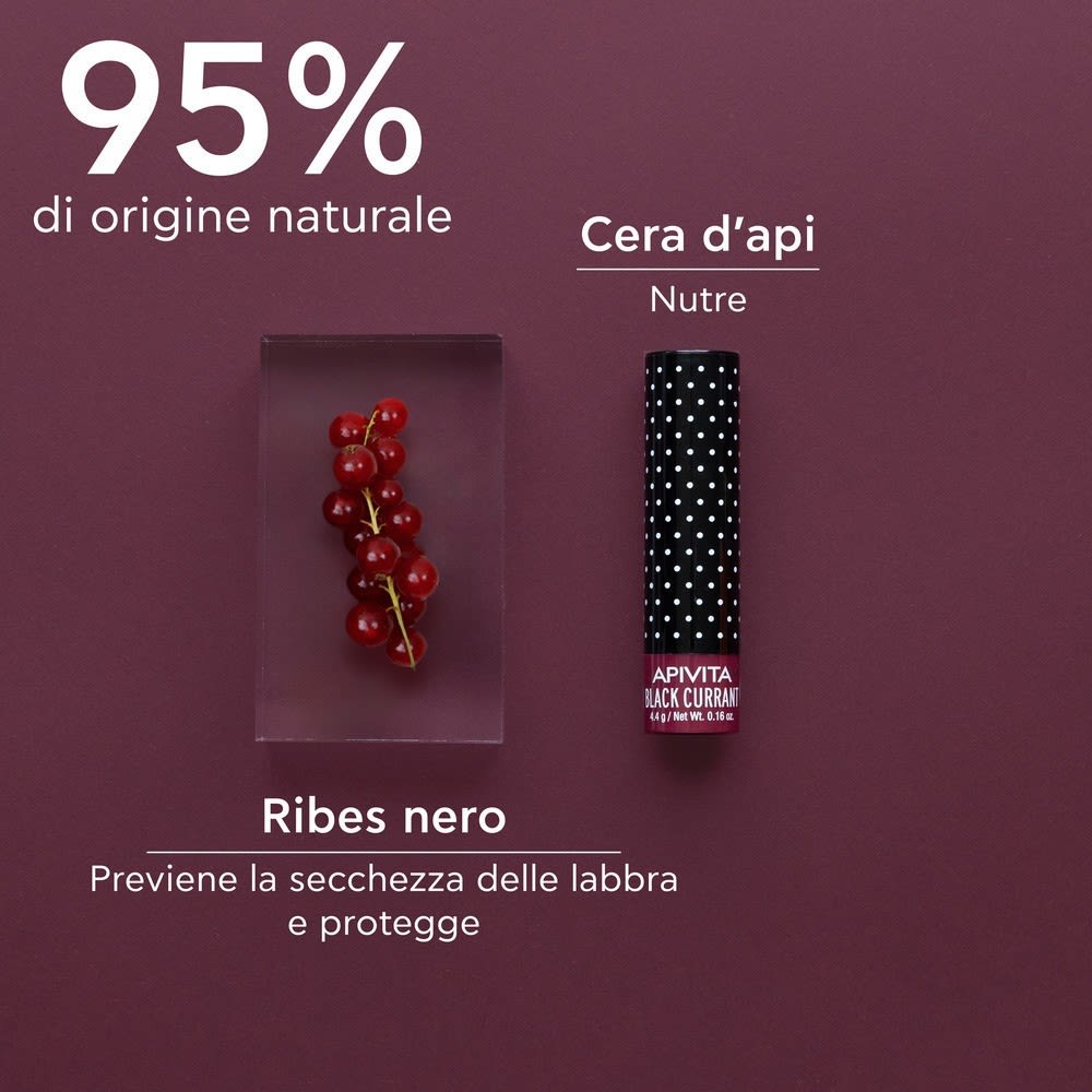 image - 980120467 - APIVITA LIPCARE BLACK CURRANT 4,4 G - 4735887_3.jpg