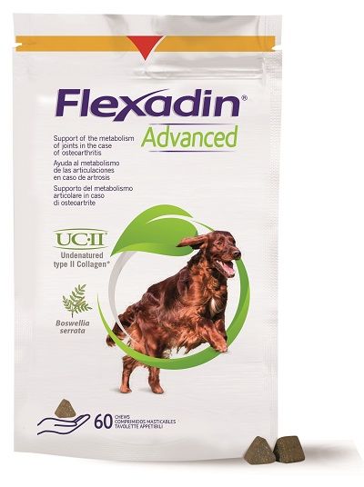 Flexadin Advanced Cane Metabolismo Articolare 60 Tavolette Appetibili