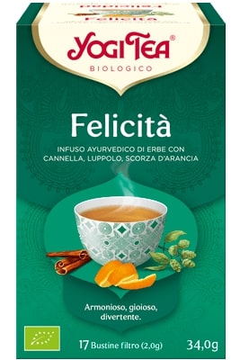 image - 971174750 - Infuso ayurvedico biologico con cannella, luppolo e scorza d'arancia, ideale per una pausa rilassante durante la giornata. - 4867911_1.jpg