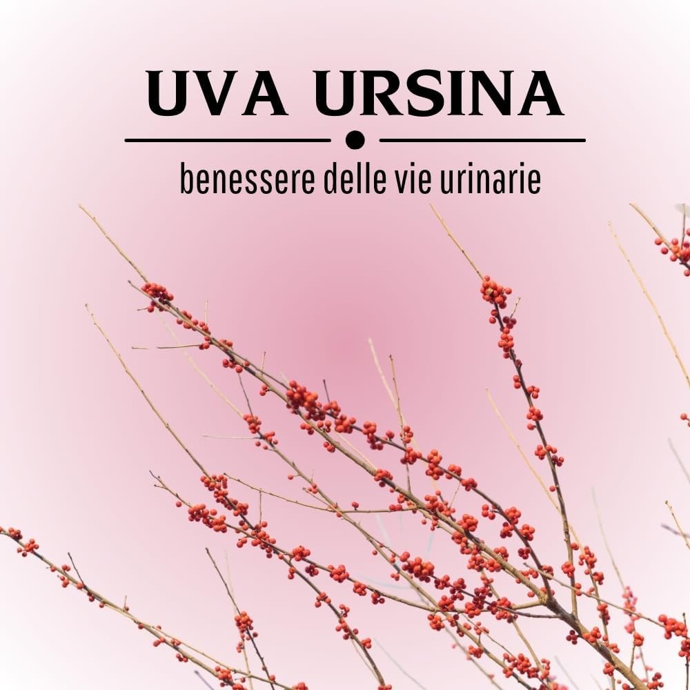902193933 - UVA URSINA 100 CAPSULE 430MG - 4713529_6.jpg