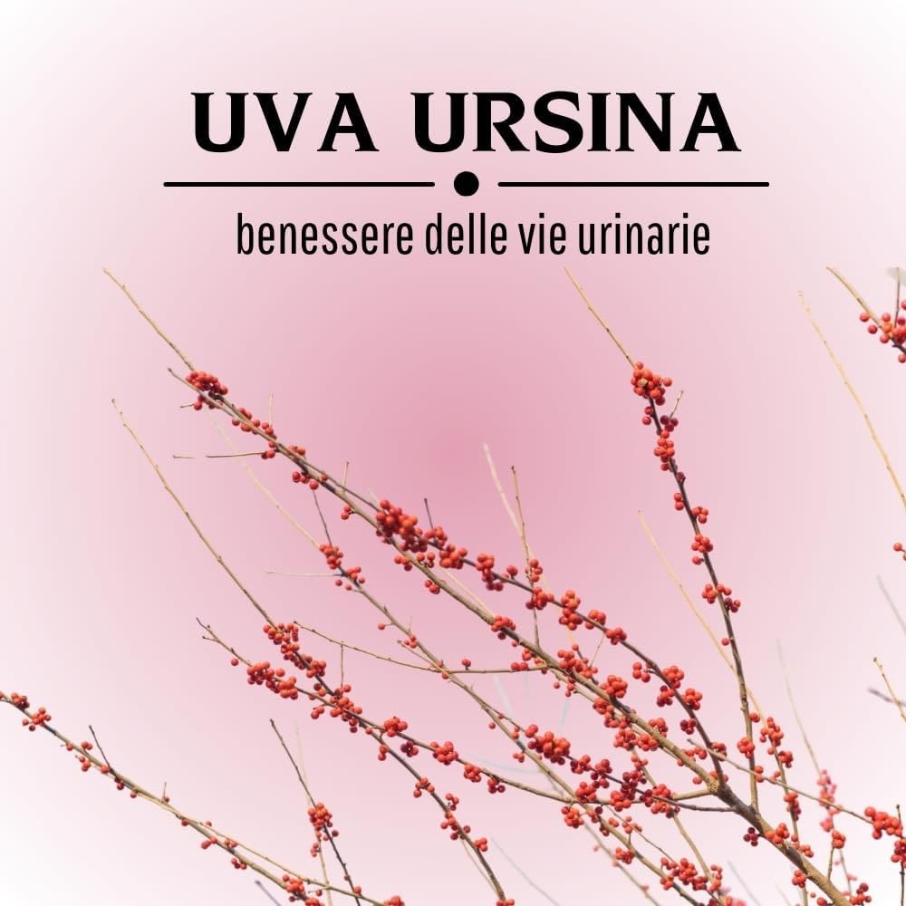 902193933 - UVA URSINA 100 CAPSULE 430MG - 4713529_6.jpg