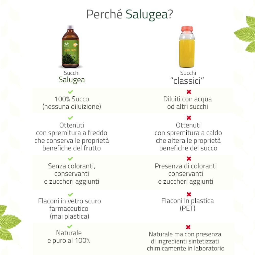 982000616 - SALUGEA SUCCO ALOE VERA BIO 500 ML - 4738121_7.jpg