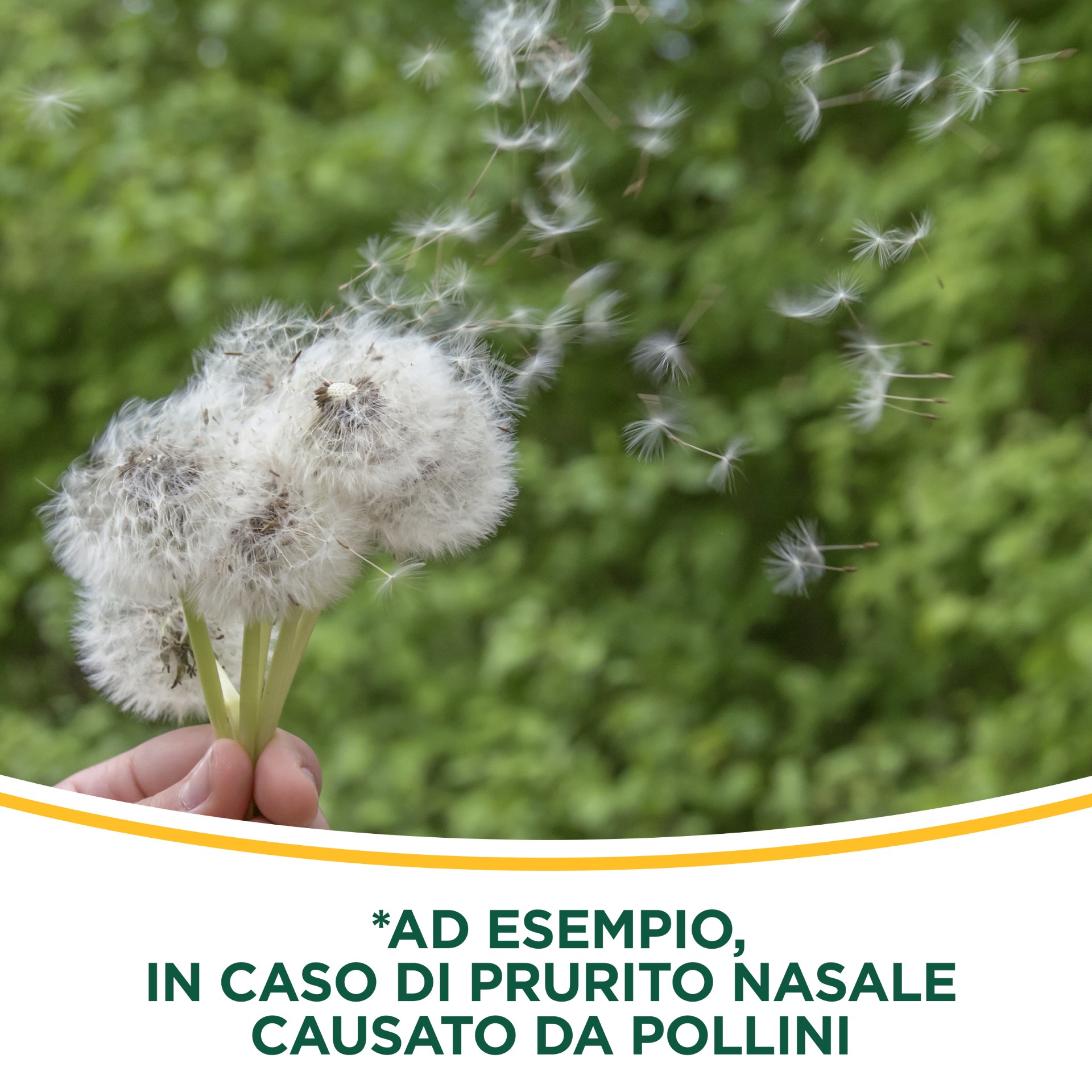 041174020 - RINAZINA ANTIALLERGICA*spray nasale 10 ml 1 mg/ml - 7852584_14.jpg