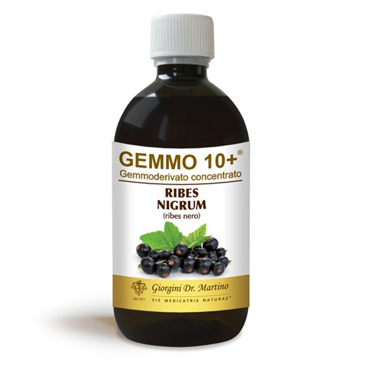 Dr. Giorgini Gemmo 10+ Ribes Nero Integratore Polivalente 500ml