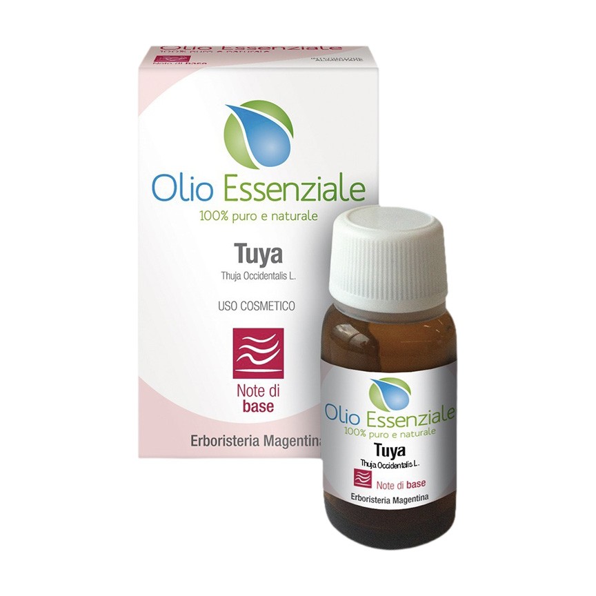 image - 923352583 - Olio essenziale di Thuja occidentalis in flacone da 10 ml, utilizzato per preparare bagni aromatici, massaggi e applicazioni localizzate su pelle ispessita o callosa. - 4869385_2.jpg
