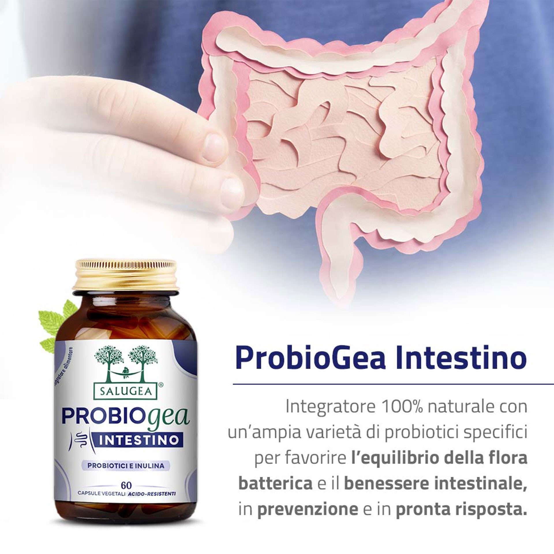 image - 950011801 - PROBIOGEA INTESTINO SALUGEA 60 CAPSULE - 4812647_11.jpg