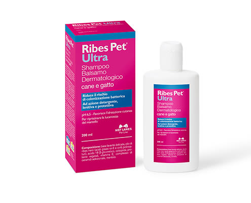 image - 932220205 - RIBES PET ULTRA SHAMPOO DERMATOLOGICO FLACONE 200 ML - 7889389_1.jpg