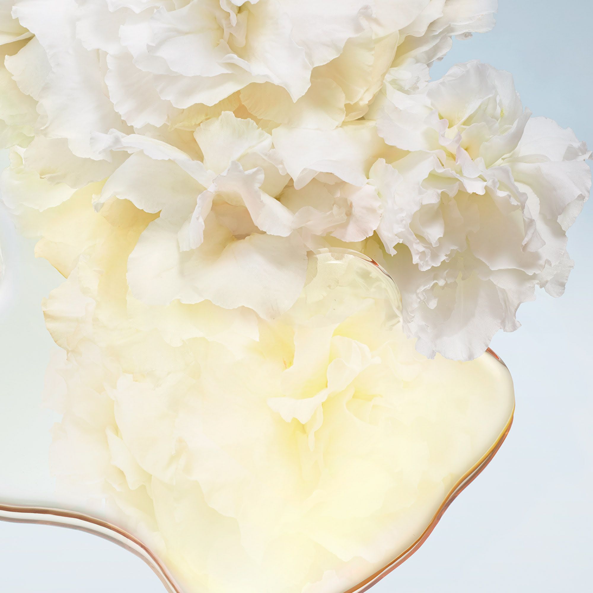 image - 971980444 - Nuxe Huile Prodigieuse Olio Idratante 50ml - 7882370_5.jpg