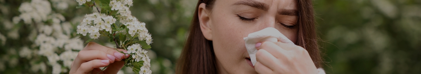 image - fexallegra-o-zirtec-differenze