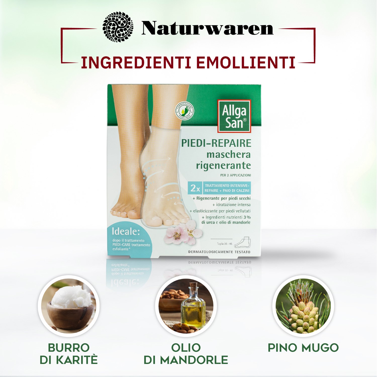 image - 981500212 -  - 4737763_3.jpg