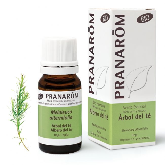 Pranarom Olio Essenziale Bio Albero Del Tè 10ml