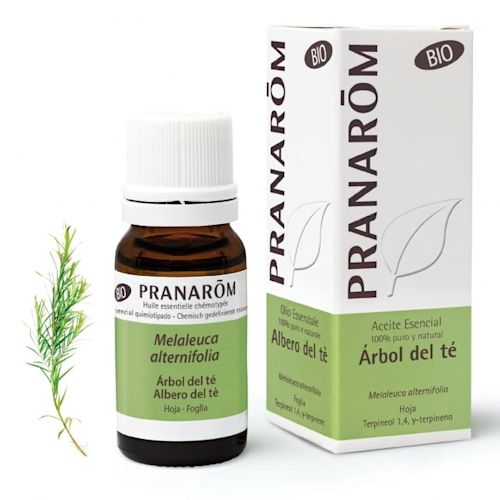926847979 - Pranarom Olio Essenziale Bio Albero del tè 10ml - 4721134_1.jpg