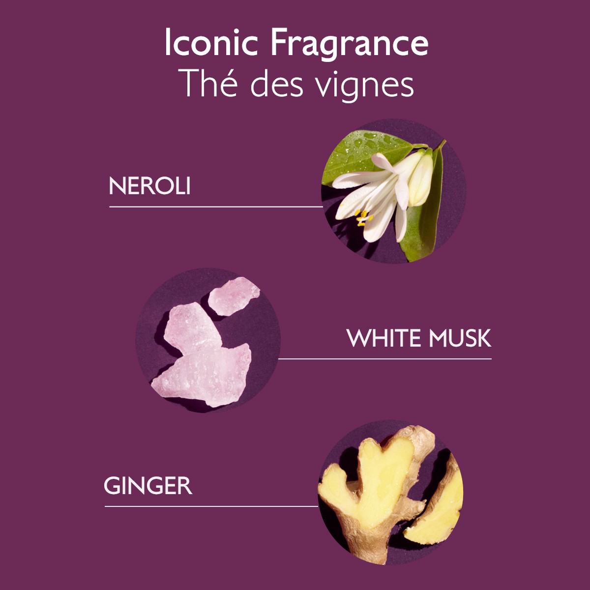 image - 985625514 - SHAMPOO TRATTANTE DOLCE 200 ML - 4711048_8.jpg