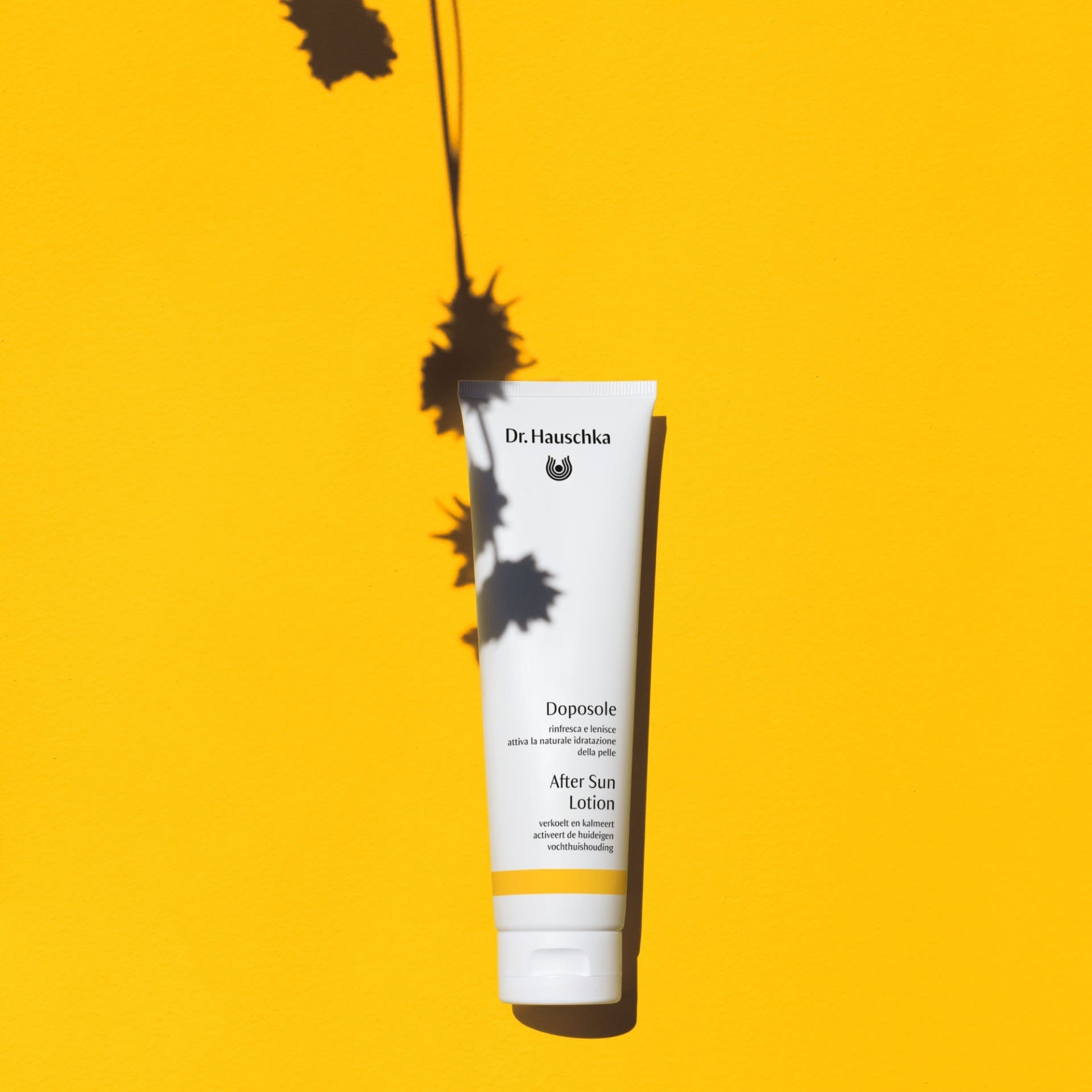 image - 983758715 - DR HAUSCHKA DOPOSOLE 150 ML - 4740177_6.jpg