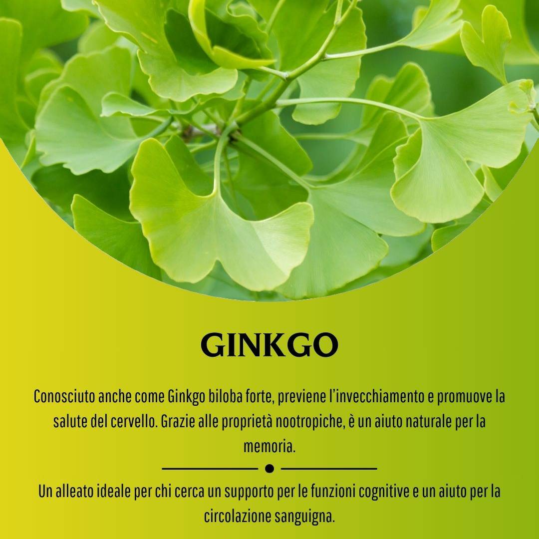 902193212 - GINKGO BILOBA 100 CAPSULE 380 MG - 4713519_7.jpg