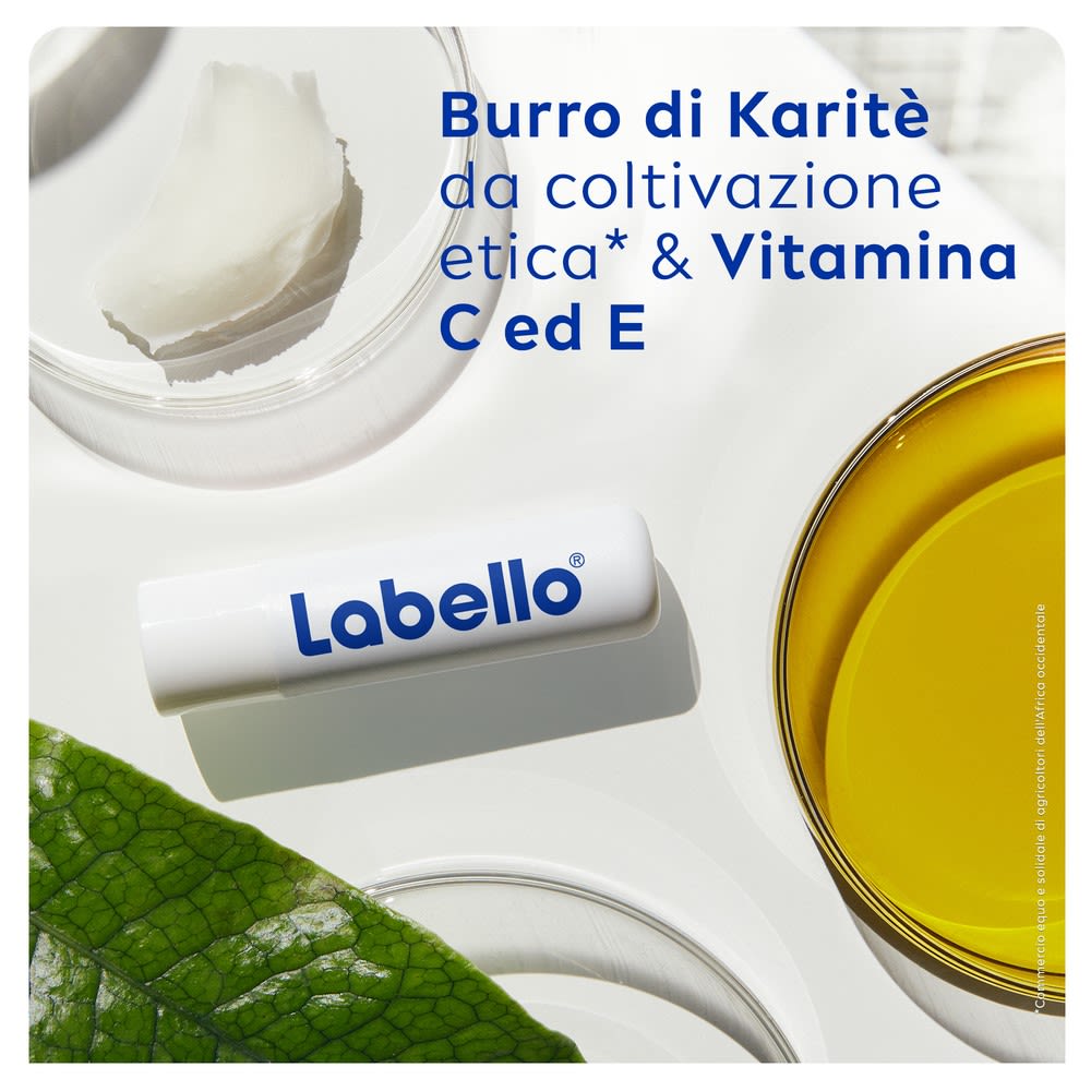 image - 975882477 - LABELLO MED REPAIR SPF15 24H IDRATAZIONE FONDENTE SULLE LABBRA 5,5 ML - 4732873_7.jpg