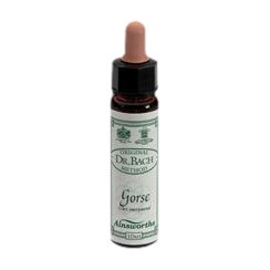 image - 906020161 - Flacone da 10 ml di essenza floreale di Ginestrone, utile per chi ha perso la speranza e la voglia di lottare. - 4876307_2.jpg