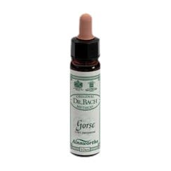 image - 906020161 - Flacone da 10 ml di essenza floreale di Ginestrone, utile per chi ha perso la speranza e la voglia di lottare. - 4876307_2.jpg