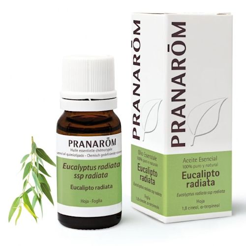 926848108 - Pranarom Olio Essenziale Bio Eucalipto Radiata 10ml - 4721137_1.jpg