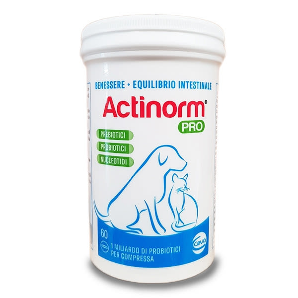 975446055 - Actinorm Pro Cani/gatti 60 Compresse - 7892168_2.jpg