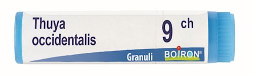 800027195 - Boiron Thuya Occidentalis 9ch contenitore monodose - 7883233_1.jpg
