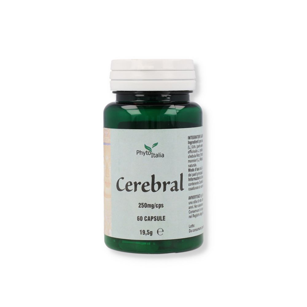 image - 938820279 - Integratore alimentare in capsule che può essere utile per supportare le normali funzioni cognitive e di memoria. - 4724417_2.jpg